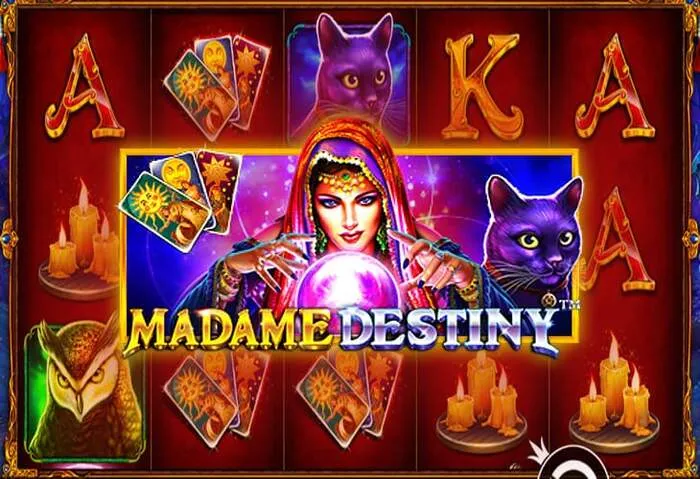 Lee la Reseña De Livewinz Casino completa.