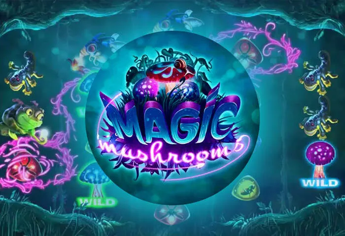 Willkommens-Livewinz Casino Bonus für Neukunden