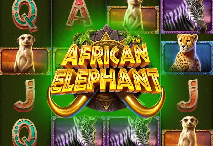 Live-Dealer-Tische bei Livewinz Casino erleben
