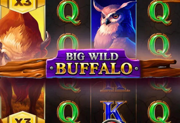 Slot machine displaying Latest Livewinz Free Spins Code 2025.