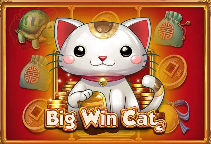 Procedura semplificata di Login Livewinz Casino per giocare.