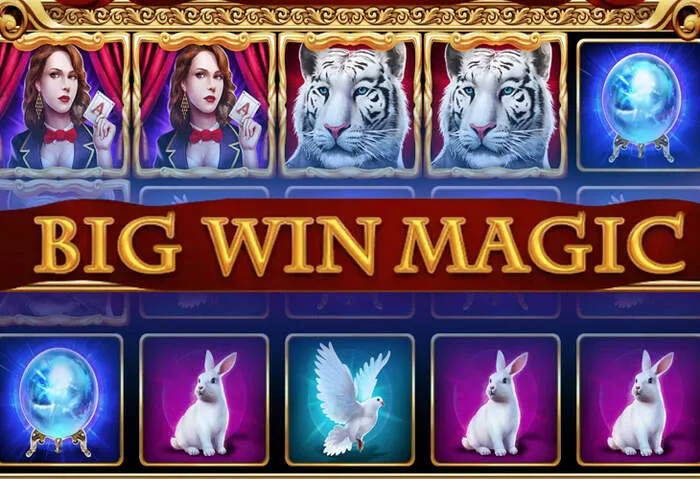 Explore the variety of Livewinz Casino banking methods for easy transactions.