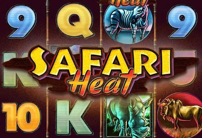 Verstehen der Livewinz Casino Umsatzbedingungen für Bonus ohne Einzahlung